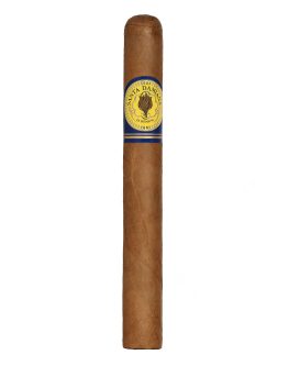 Santa Damiana Corona