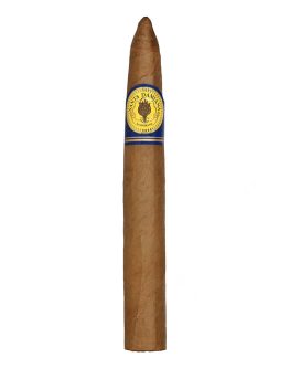 Santa Damiana Torpedo